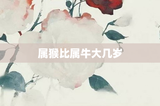 属猴比属牛大几岁