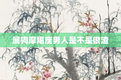 属狗摩羯座男人是不是很渣