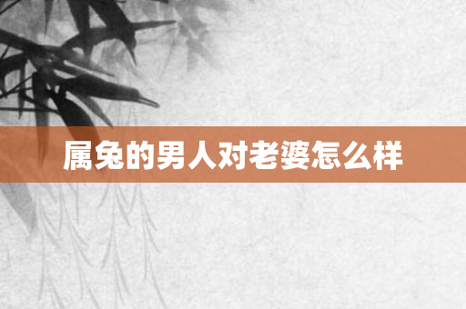 属兔的男人对老婆怎么样
