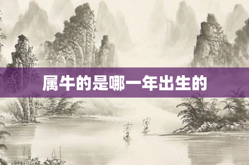属牛的是哪一年出生的
