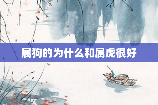 属狗的为什么和属虎很好