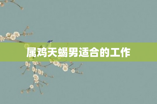 属鸡天蝎男适合的工作