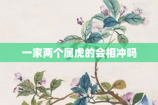 一家两个属虎的会相冲吗