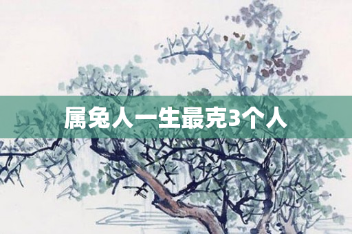 属兔人一生最克3个人