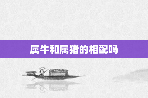 属牛和属猪的相配吗