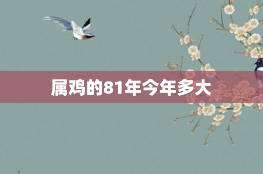 属鸡的81年今年多大