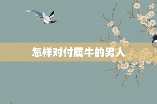 怎样对付属牛的男人