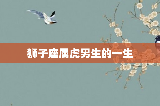 狮子座属虎男生的一生