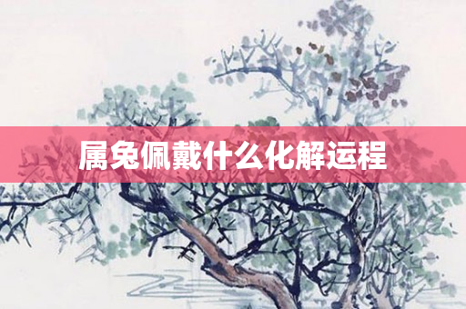属兔佩戴什么化解运程