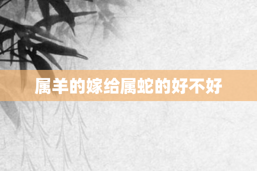 属羊的嫁给属蛇的好不好