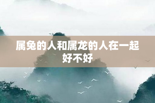 属兔的人和属龙的人在一起好不好