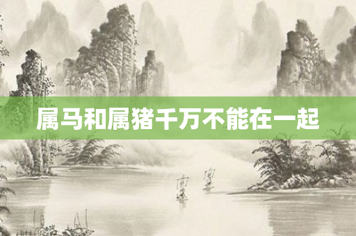 属马和属猪千万不能在一起