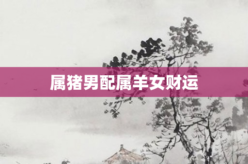 属猪男配属羊女财运