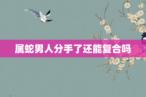 属蛇男人分手了还能复合吗