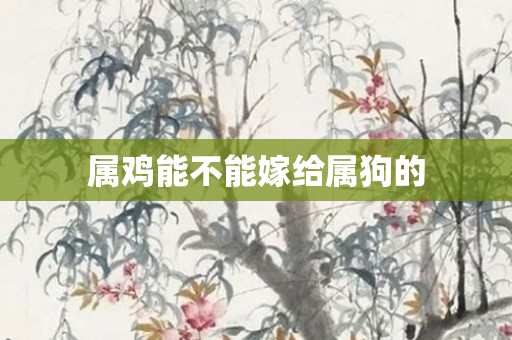 属鸡能不能嫁给属狗的