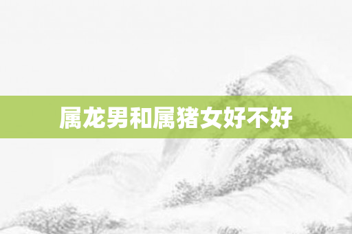 属龙男和属猪女好不好