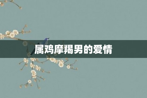 属鸡摩羯男的爱情