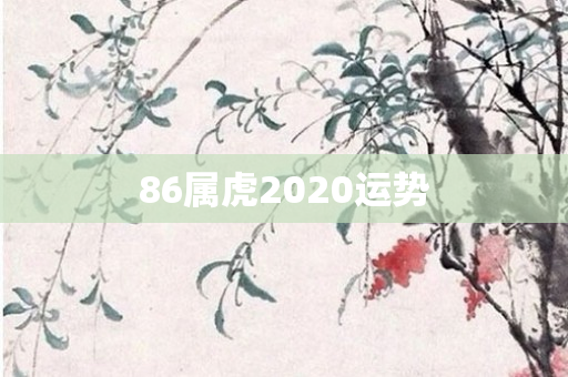 86属虎2020运势