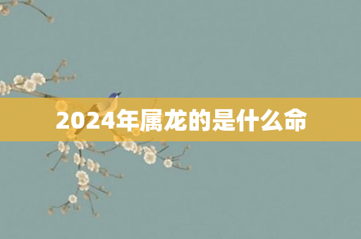 2024年属龙的是什么命
