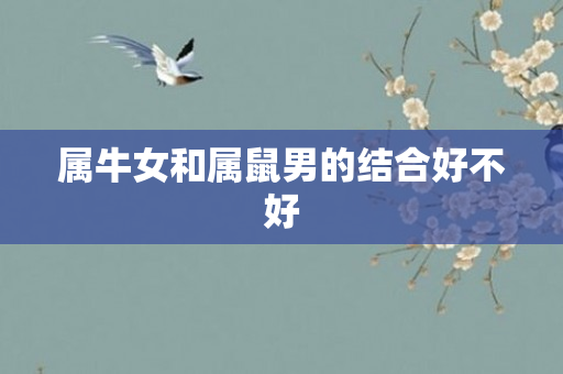 属牛女和属鼠男的结合好不好