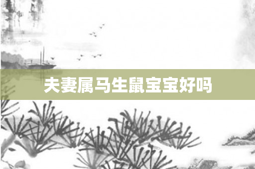 夫妻属马生鼠宝宝好吗