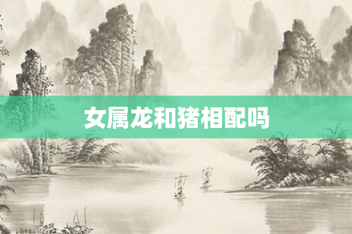 女属龙和猪相配吗