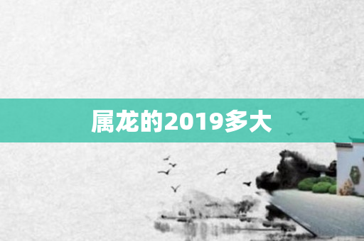 属龙的2019多大