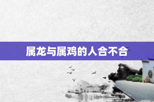 属龙与属鸡的人合不合