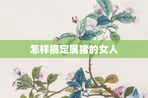怎样搞定属猪的女人