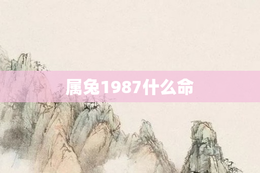属兔1987什么命