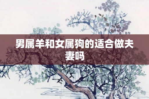 男属羊和女属狗的适合做夫妻吗