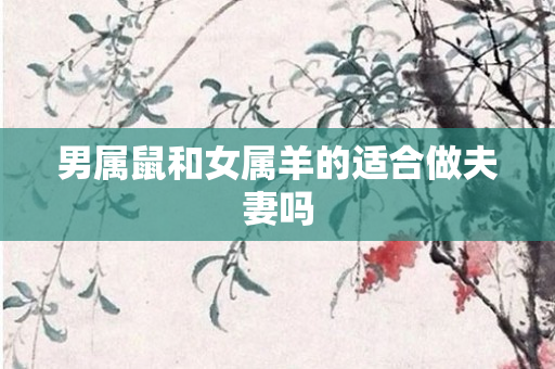 男属鼠和女属羊的适合做夫妻吗