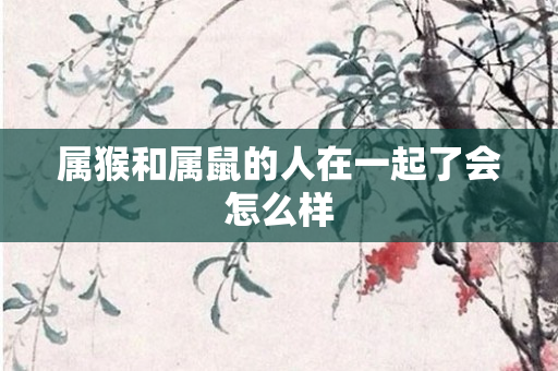 属猴和属鼠的人在一起了会怎么样