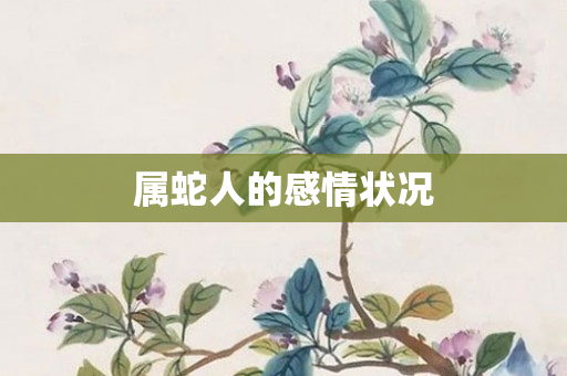 属蛇人的感情状况