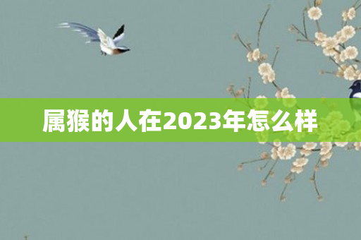 属猴的人在2023年怎么样