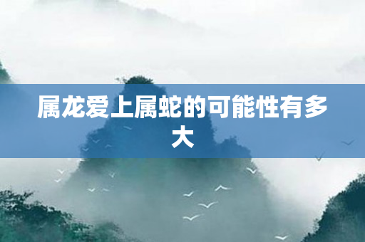 属龙爱上属蛇的可能性有多大