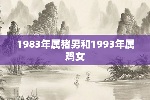 1983年属猪男和1993年属鸡女