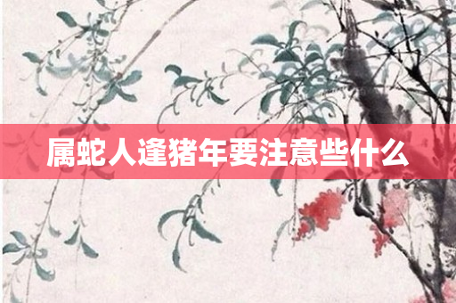 属蛇人逢猪年要注意些什么