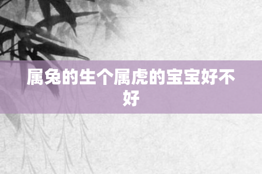 属兔的生个属虎的宝宝好不好