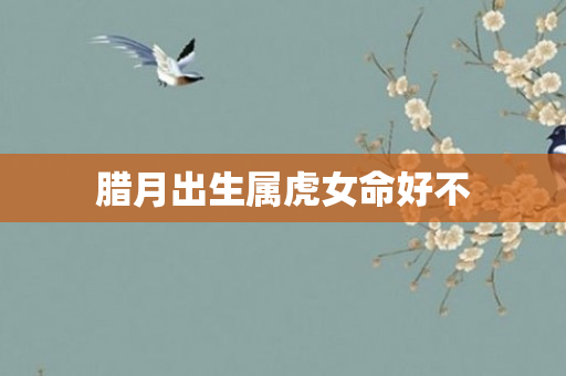 腊月出生属虎女命好不