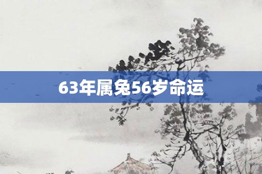 63年属兔56岁命运