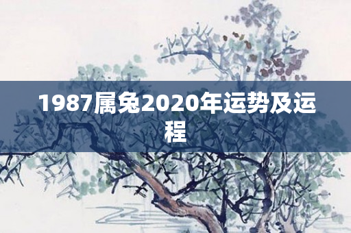 1987属兔2020年运势及运程