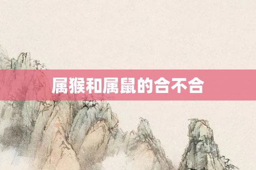 属猴和属鼠的合不合