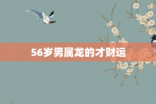 56岁男属龙的才财运