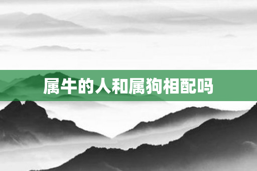 属牛的人和属狗相配吗