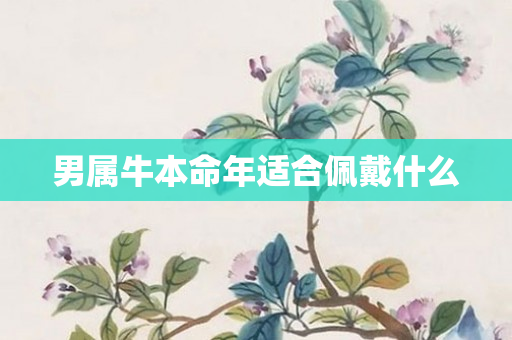 男属牛本命年适合佩戴什么
