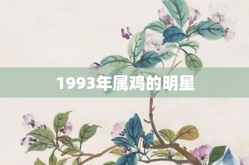1993年属鸡的明星
