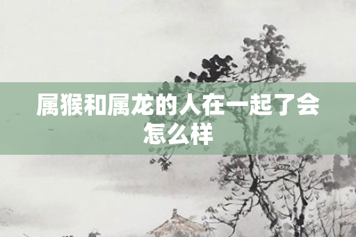 属猴和属龙的人在一起了会怎么样