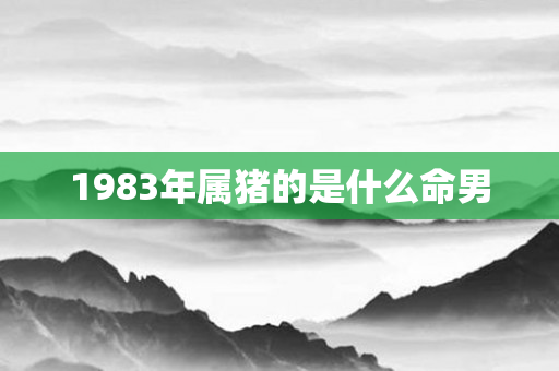 1983年属猪的是什么命男
