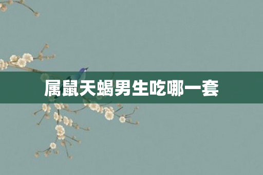 属鼠天蝎男生吃哪一套